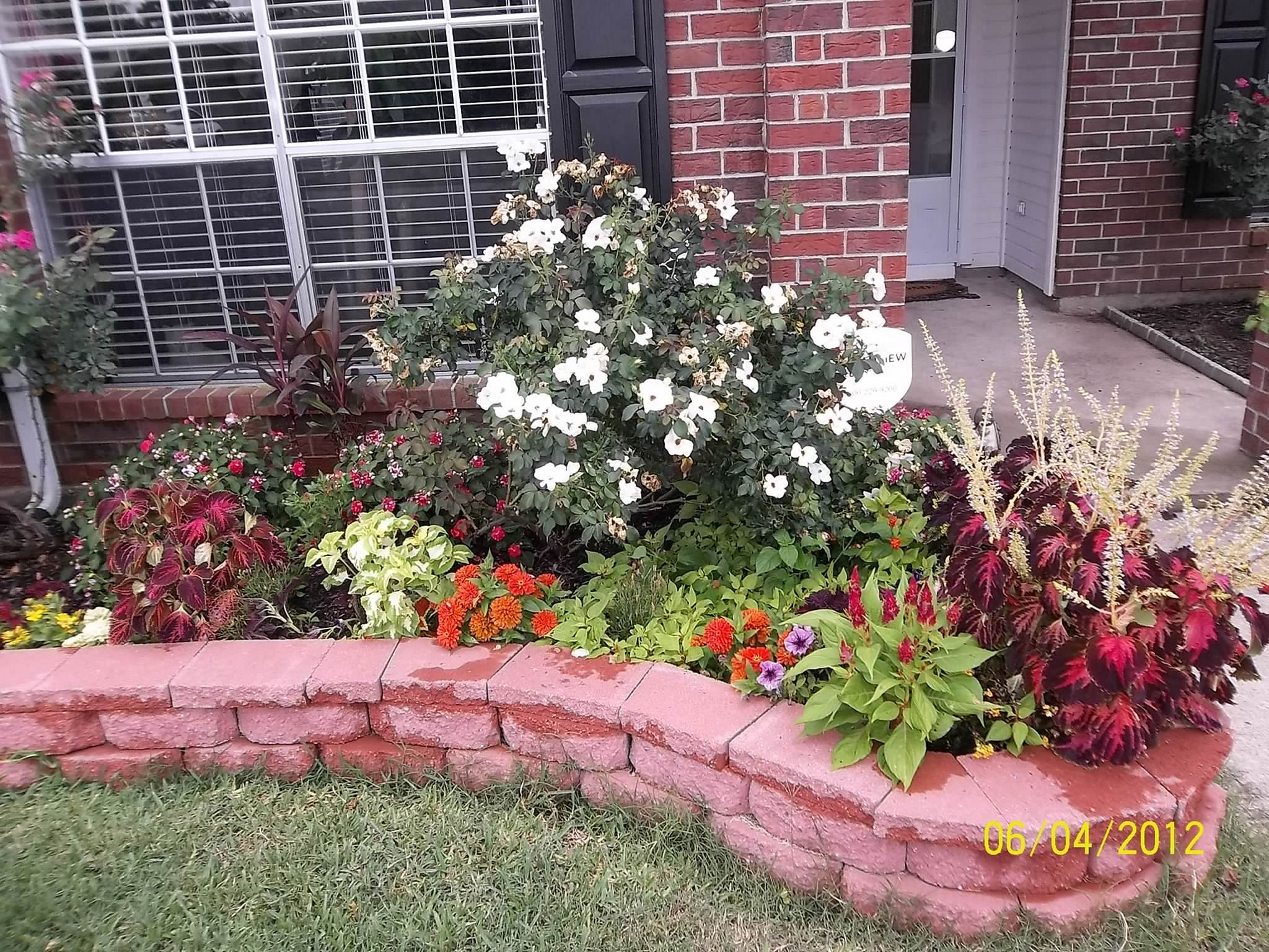 House Gardening Flowers