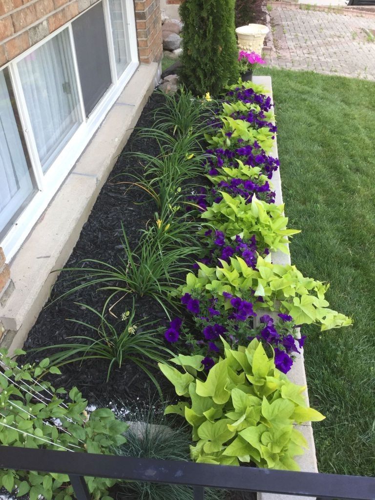 Flower Bed Ideas