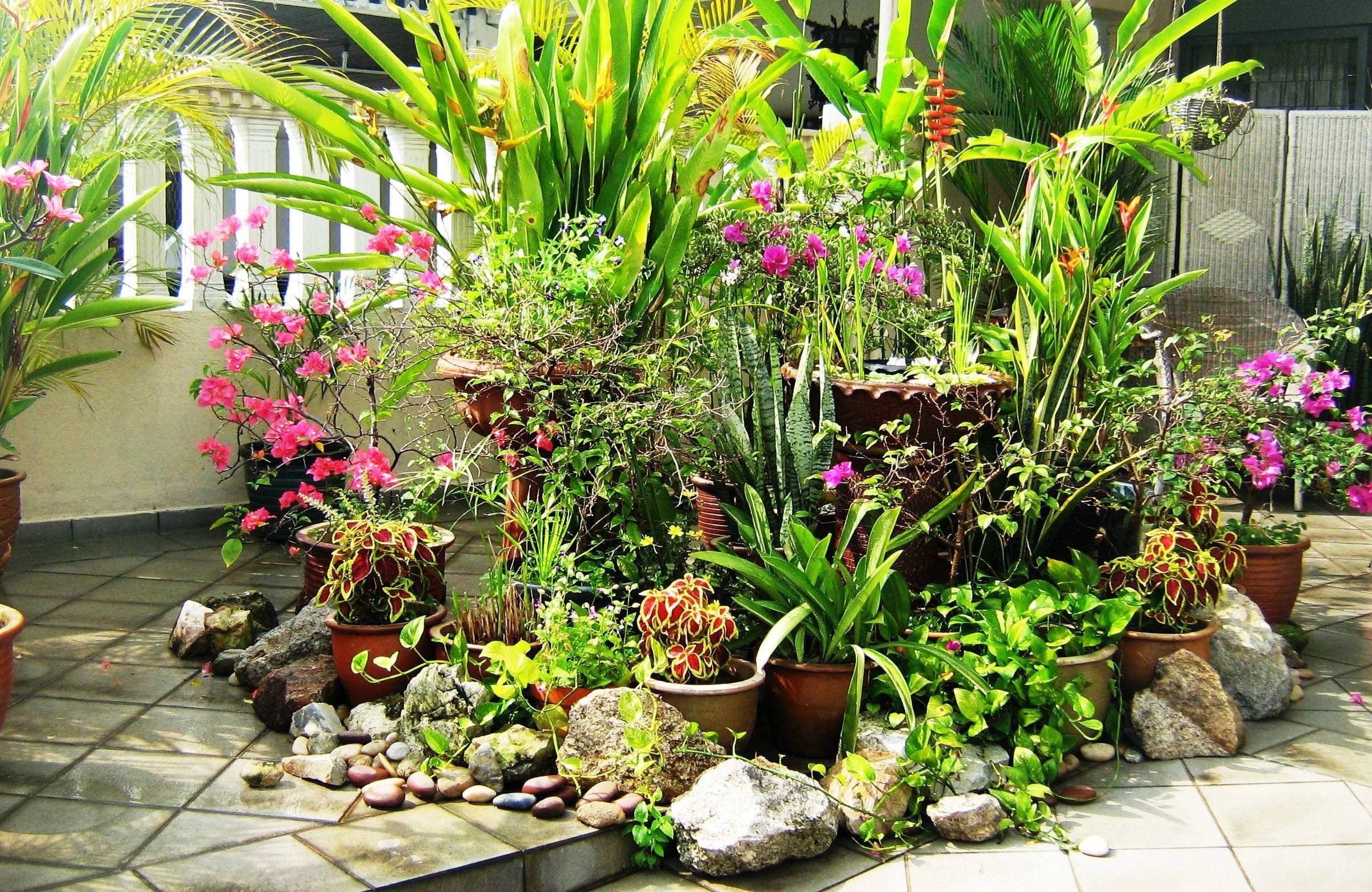 Creative Garden Ideas
