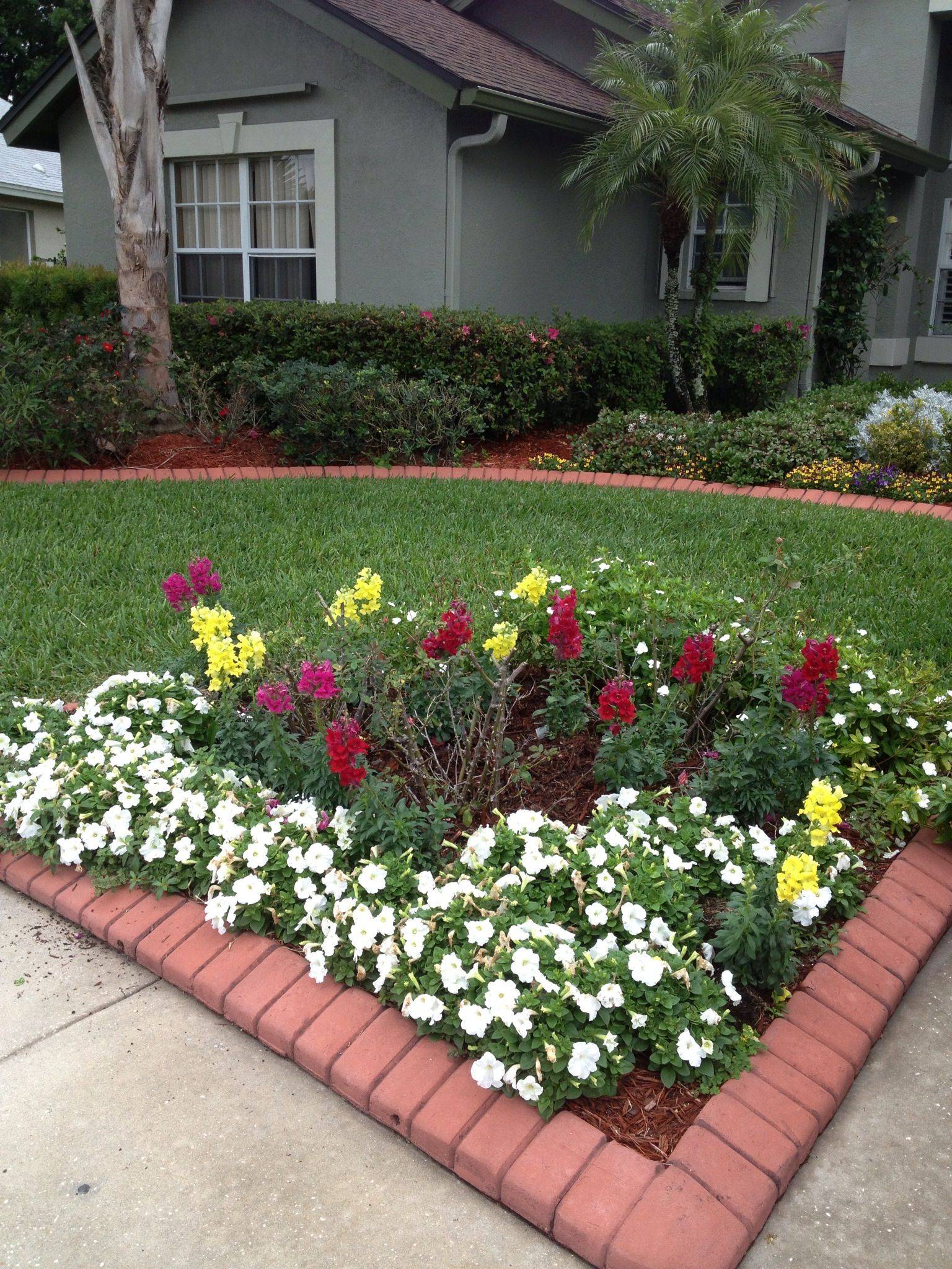 Striking Petunia Centerpiece Ideas