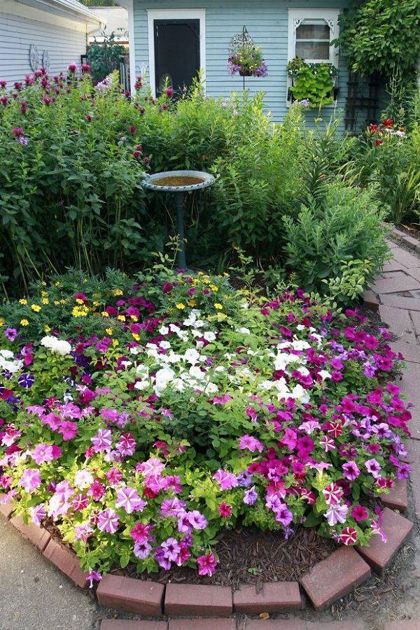 Striking Petunia Centerpiece Ideas