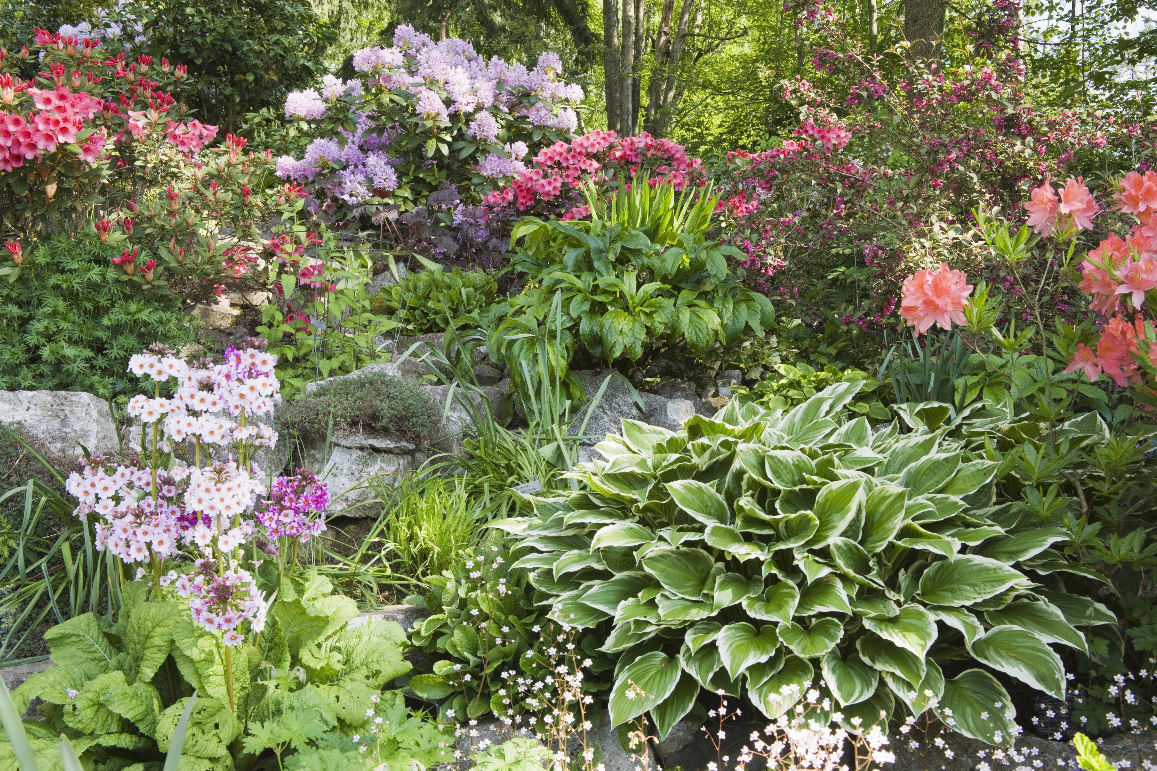 Landscape Services Pipersville