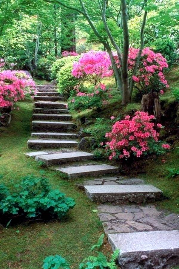 Step Landscape Design