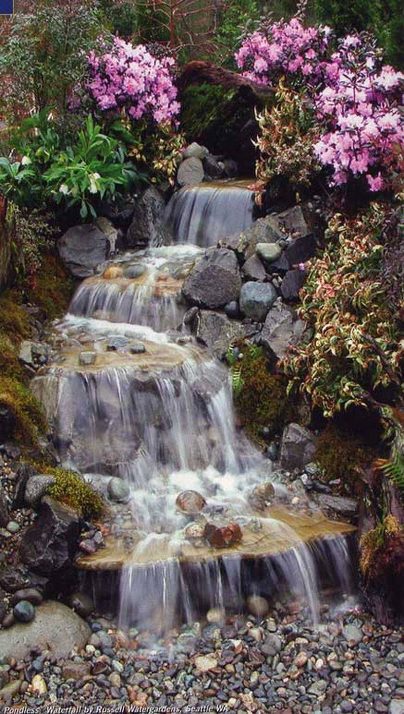 Your Home Garden Designs Page