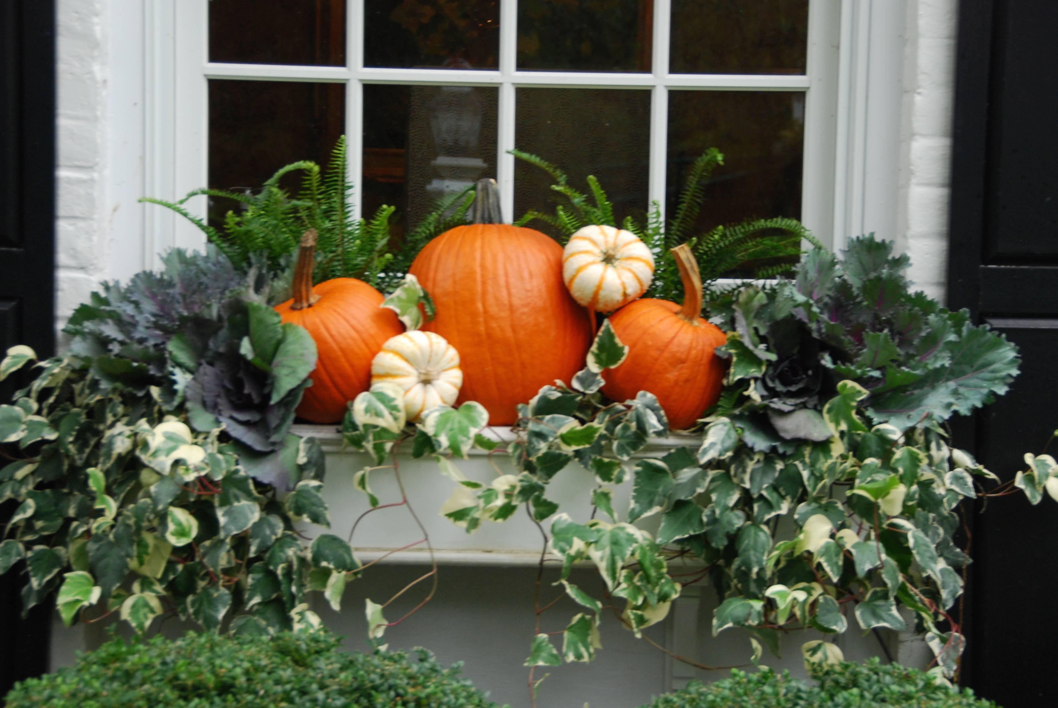 Outdoor Fall Decor Fall Outdoor Decor