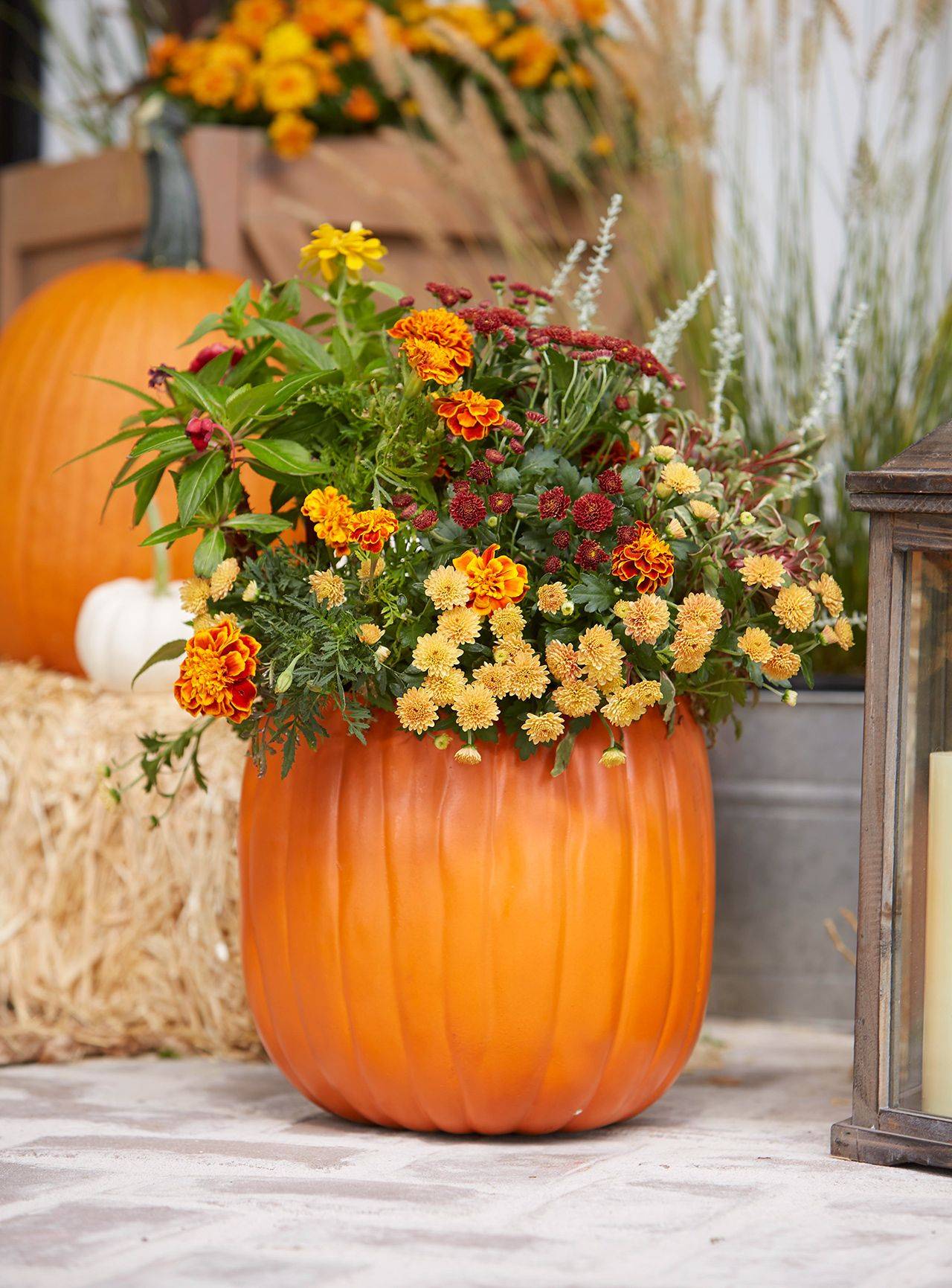 The Country Chic Cottage