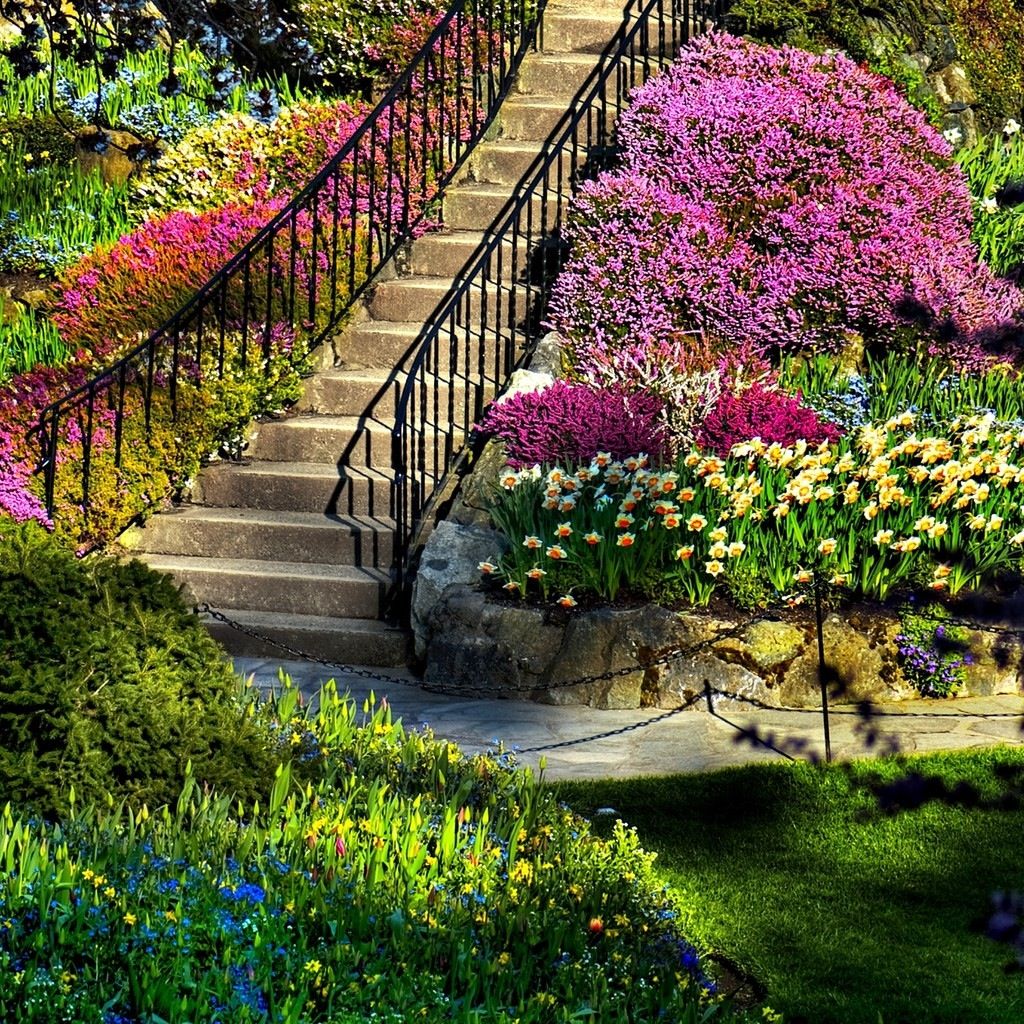 Landscape Amazing Flowers