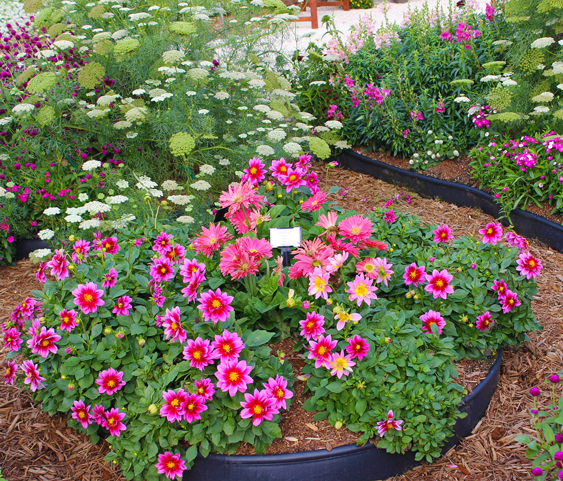 A Pretty Small Garden Space
