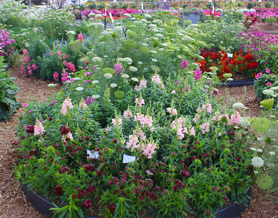 Small Space Potted Flower Garden Tour Fox Hollow Cottage