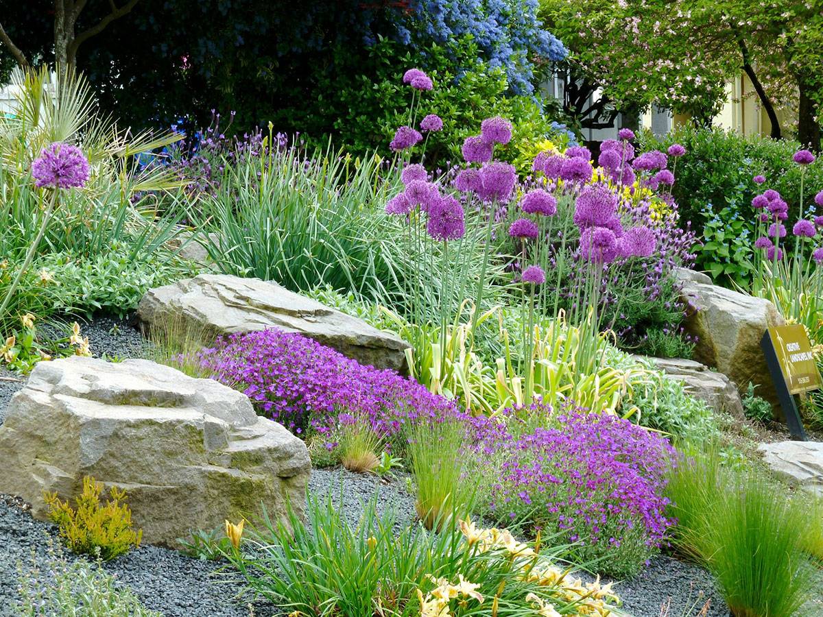 Rock Garden Ideas