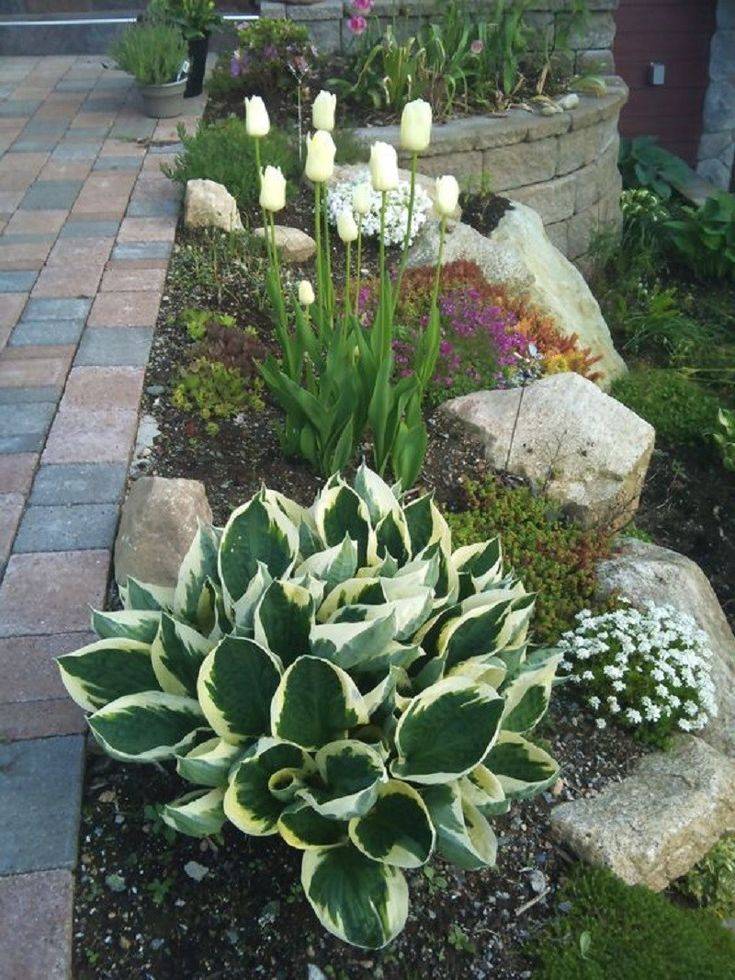 Simple And Easy Rock Garden Ideas