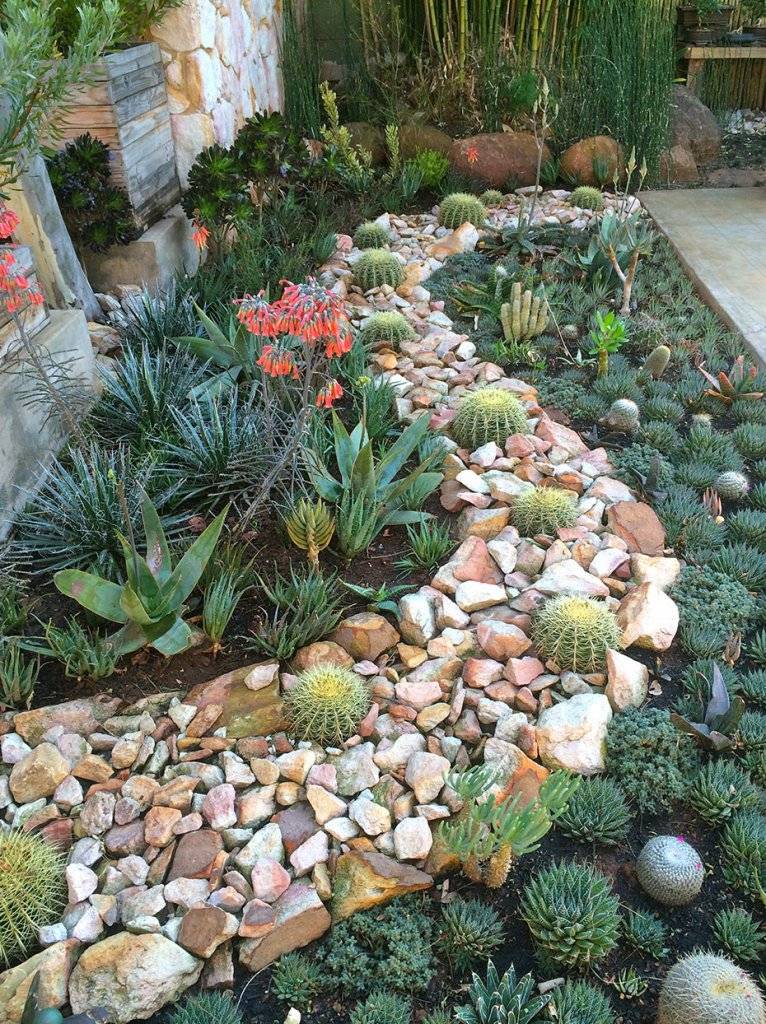 Blooming Rock Garden Design Ideas
