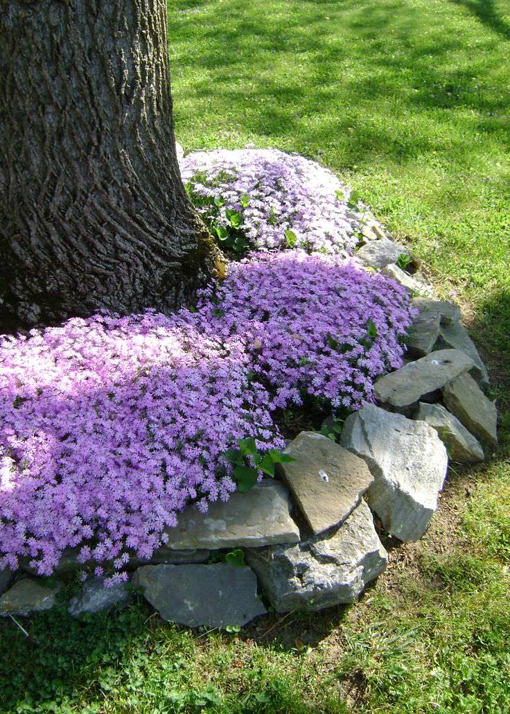 Stunning Ways To Plant Small Flower Ideas Talkdecor Rock Garden