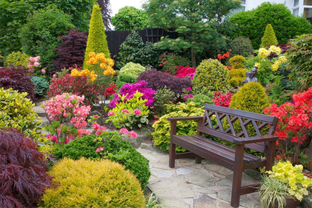 Improved Spring Flower Garden Ideas