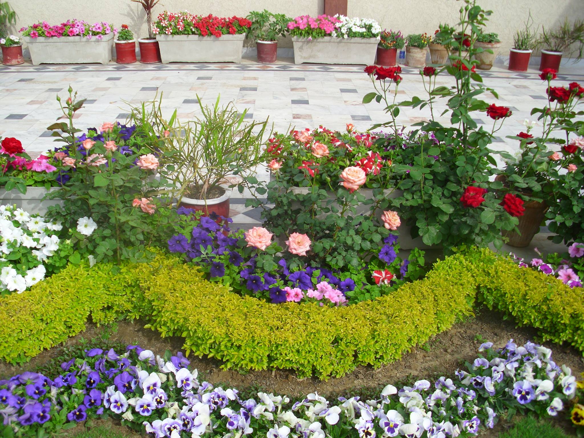 Backyard Landscaping Page