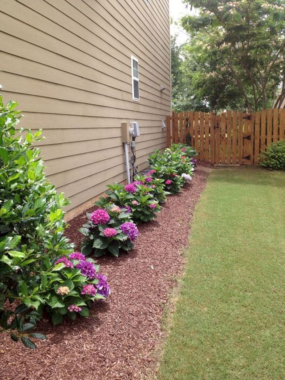 The Backyard Garden