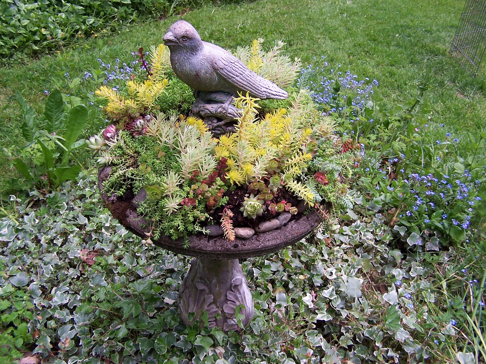 Stunning Bird Bath Garden Ideas