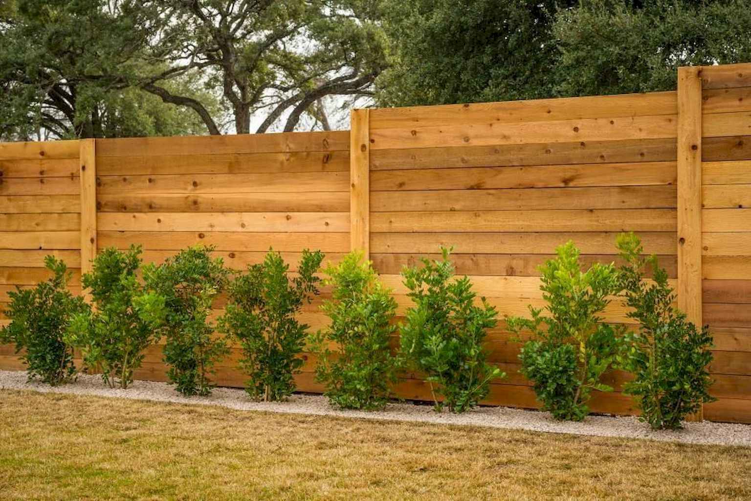 Simple Backyard Privacy Fence Design Ideas