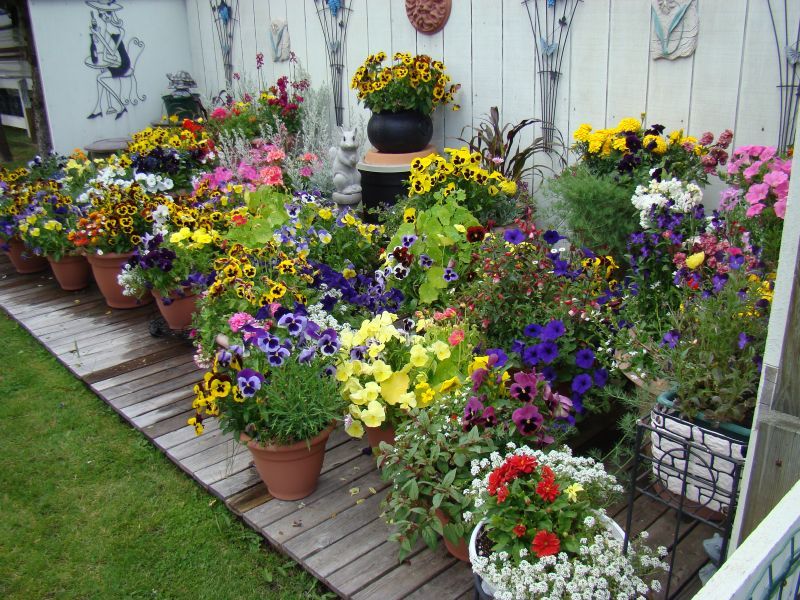 Springseasoncontainergardenideas