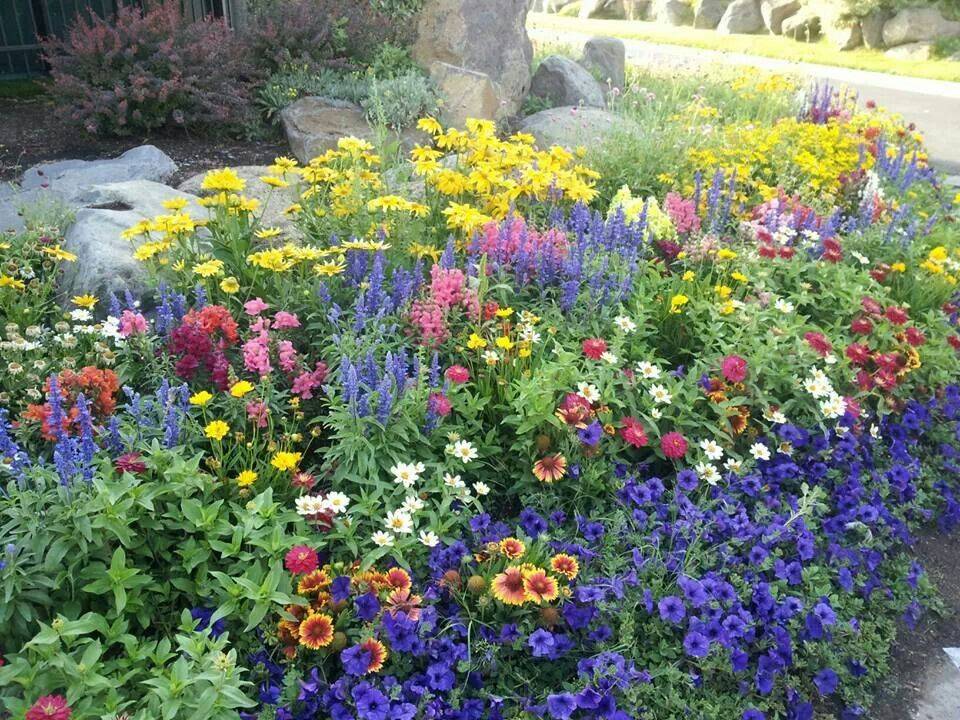 Perennial Garden Design Ideas