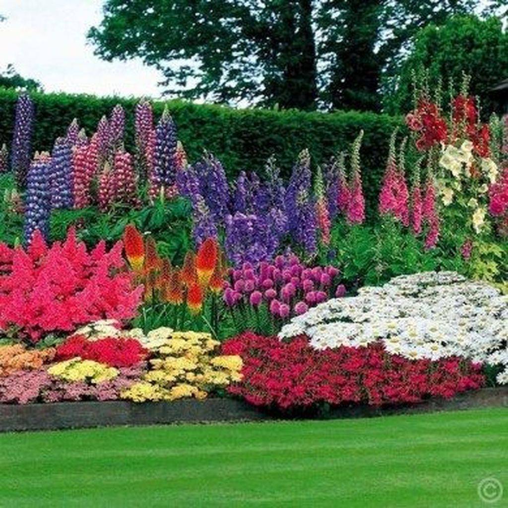 Beautiful Flower Garden Design Ideas Home