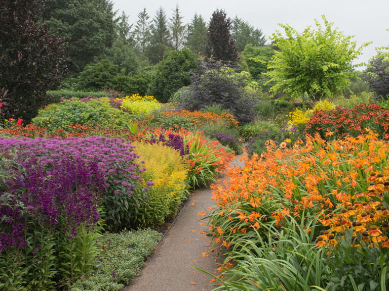 Garden Flower Border