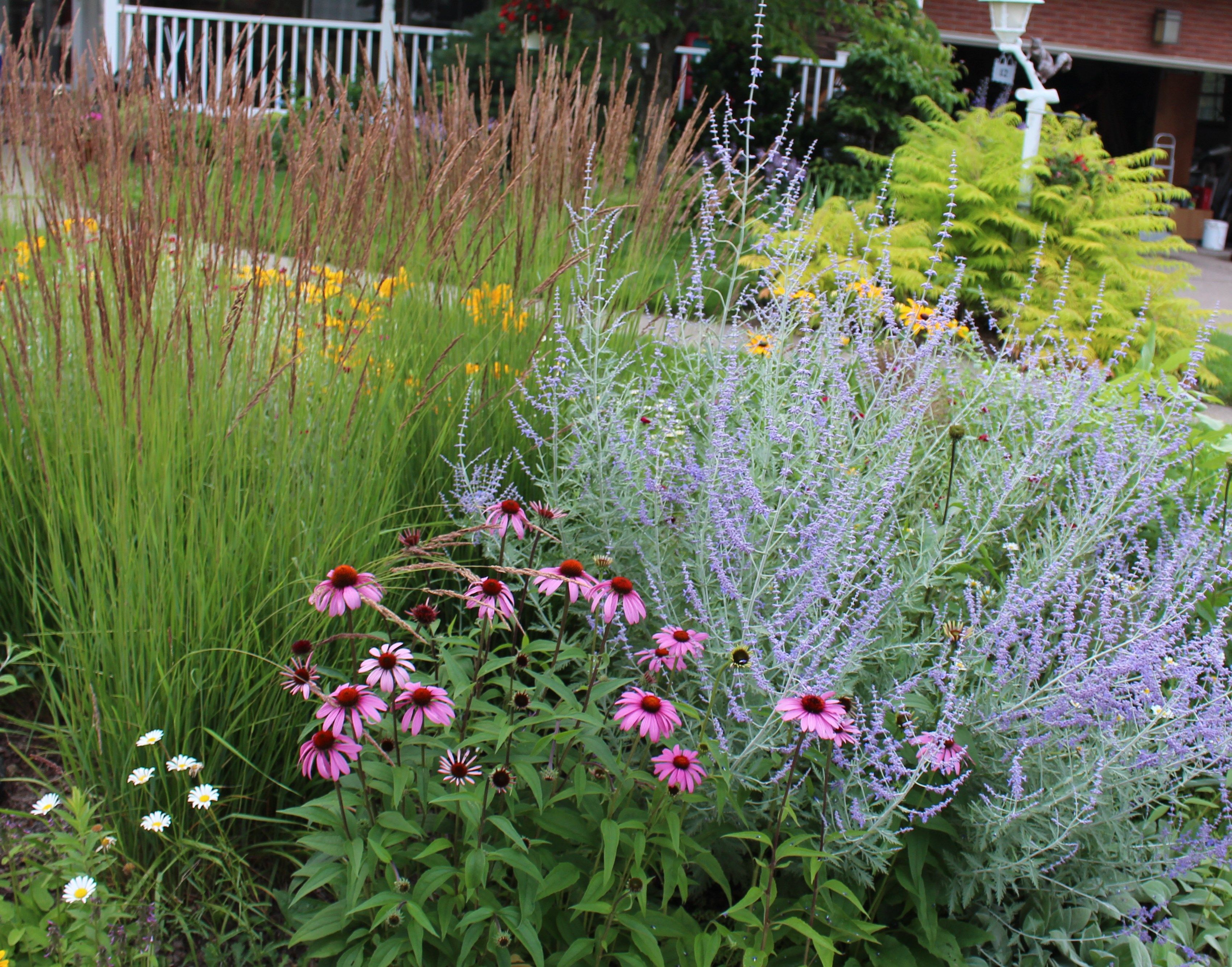 Garden Flower Border