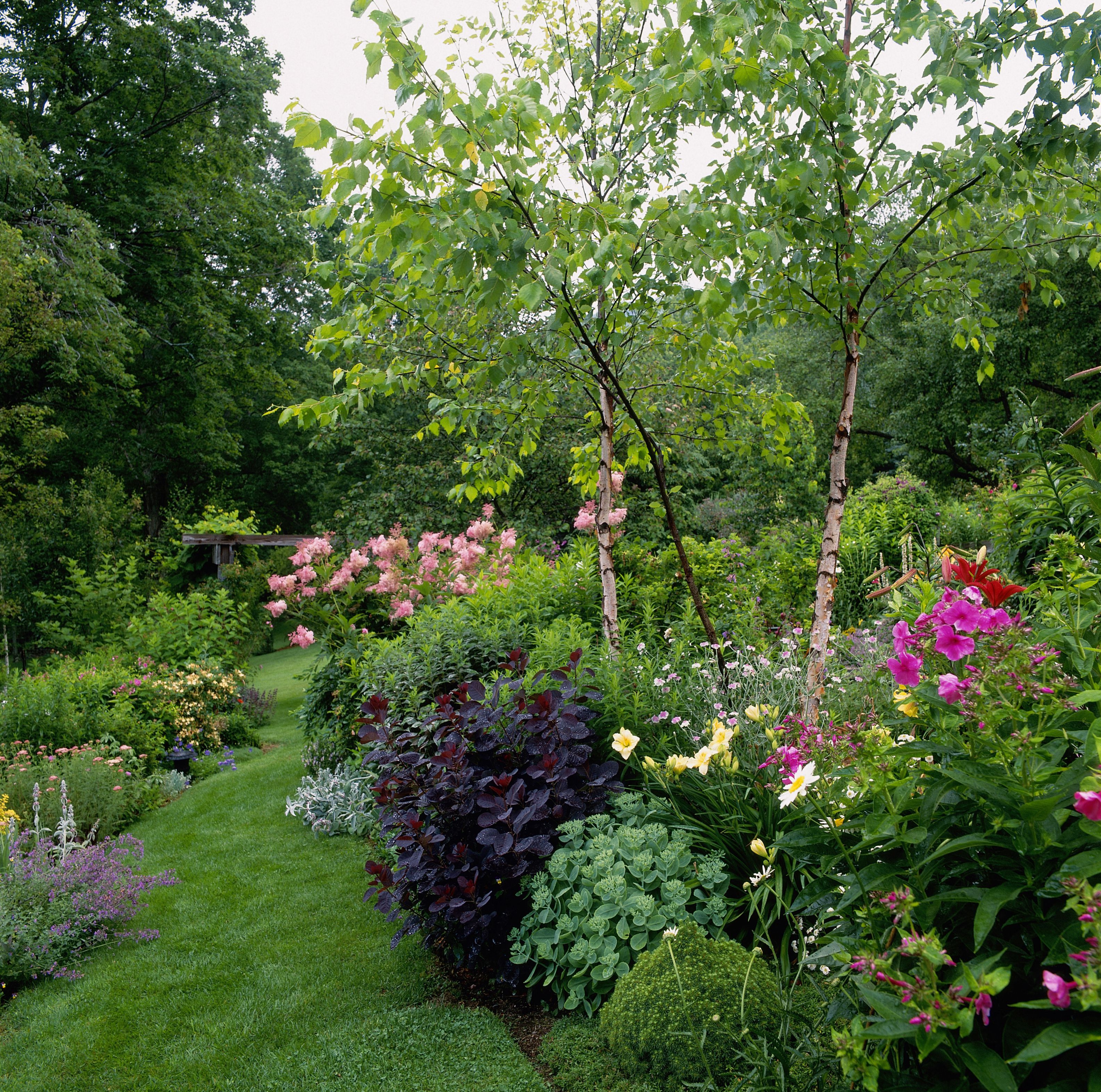 So Many Colorful Perennials