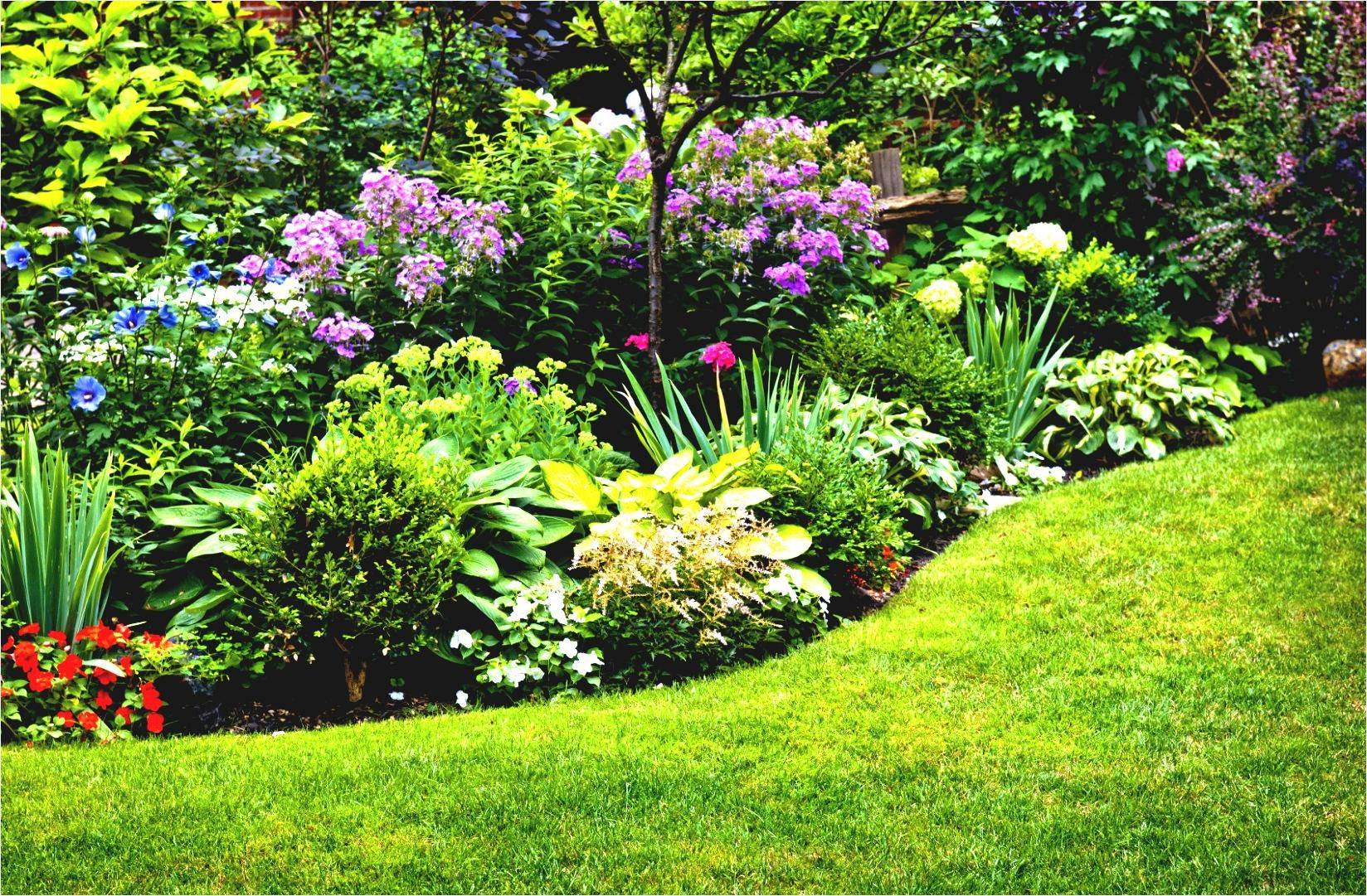 My Fullsun Perennial Gardens