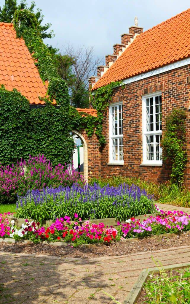 Flower Border Ideas