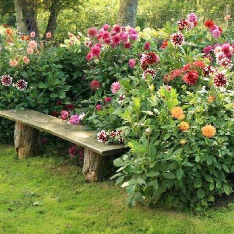 Backyard Garden Border Texture Shade Garden