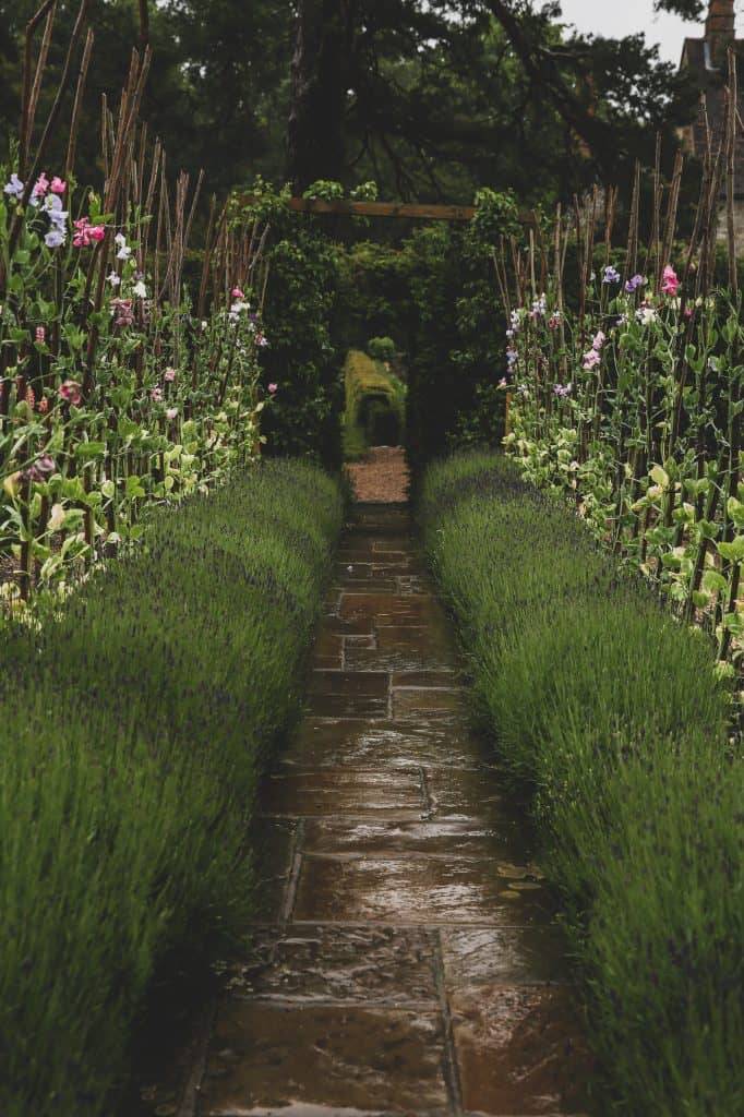 Design Better Garden Borders