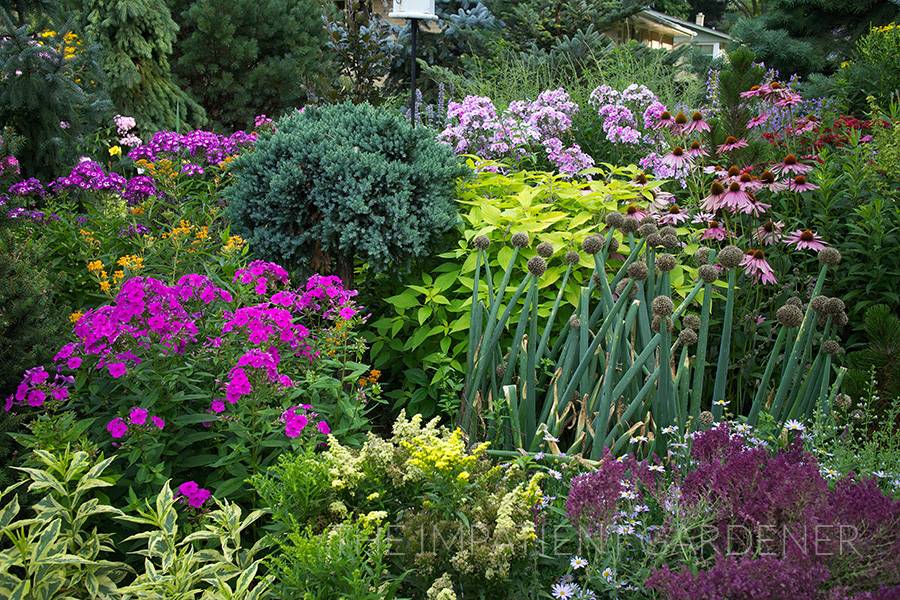 Your Garden Gorgeous