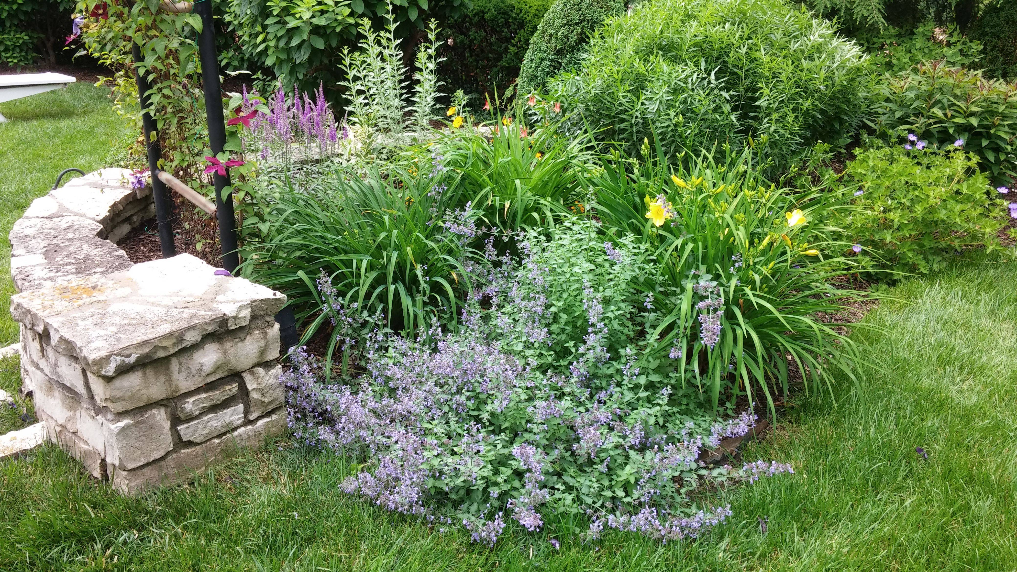 Garden Courtyard Landscaping