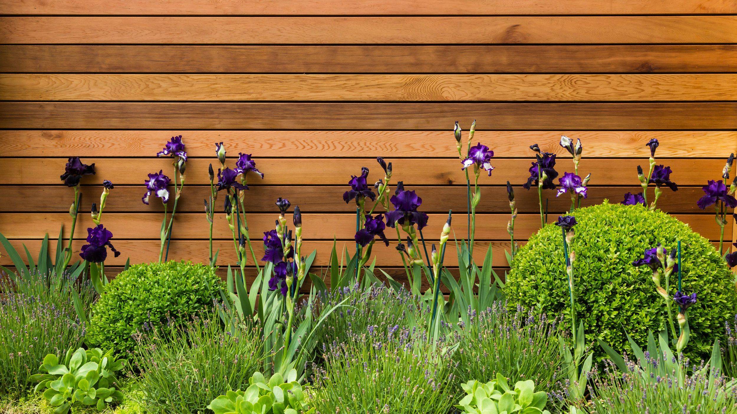 Togather Flower Bed Plants