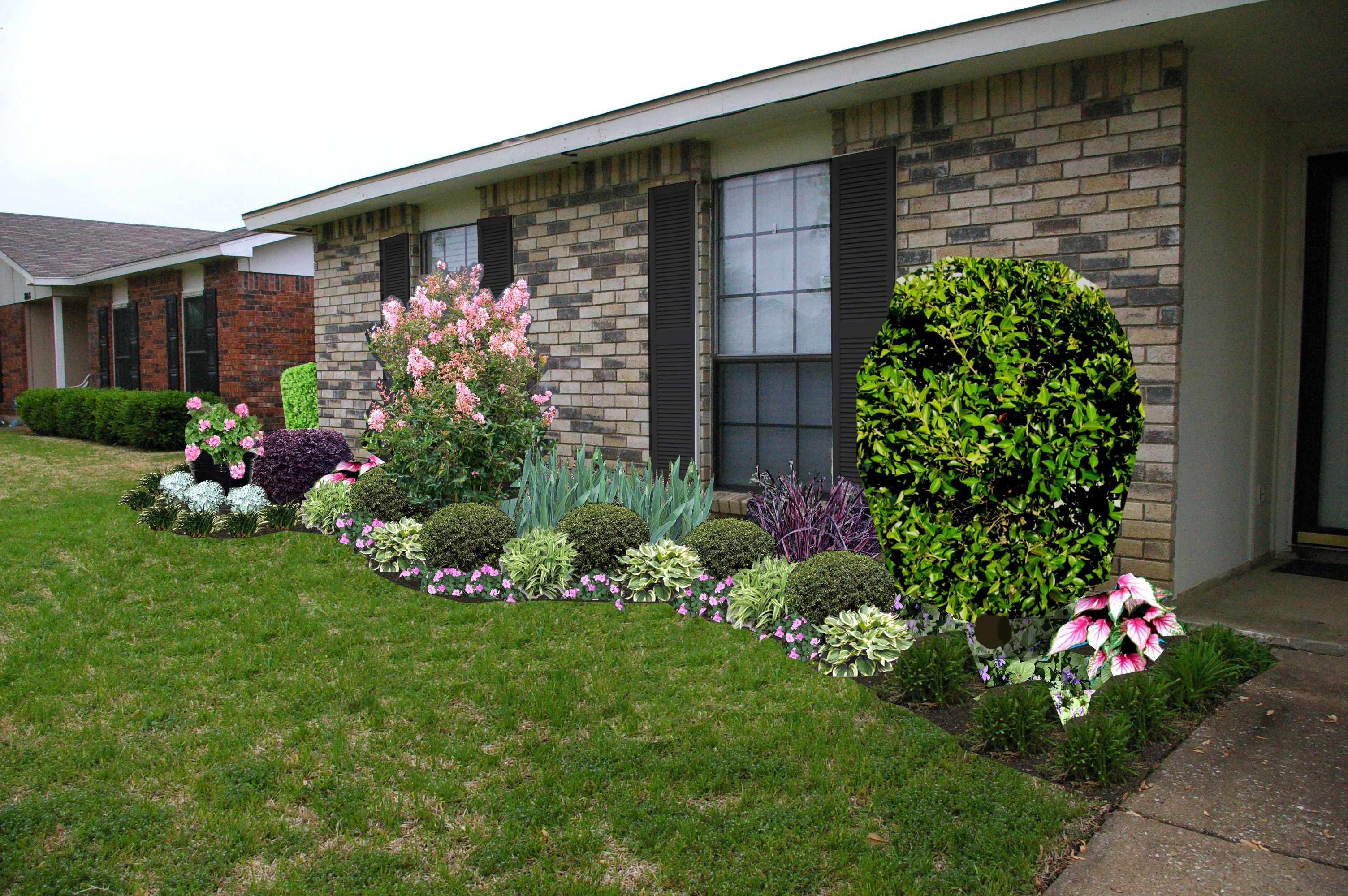 Front Yard Design