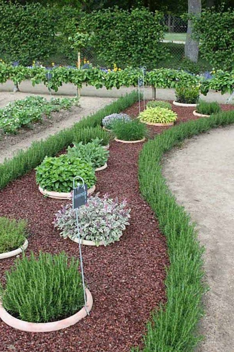 Landscape Ideas