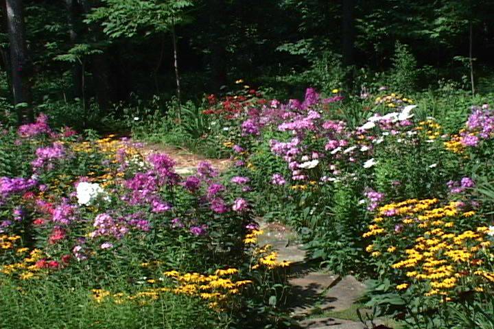 Curved And Straight Walkway Designs