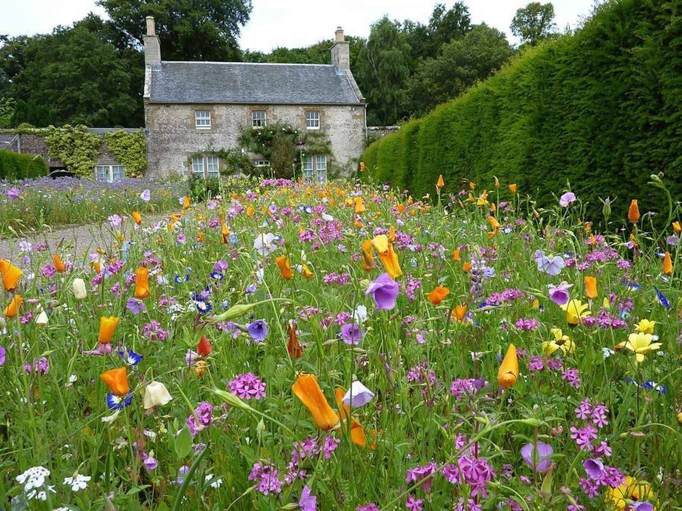 Wildflower Garden Sloped Garden