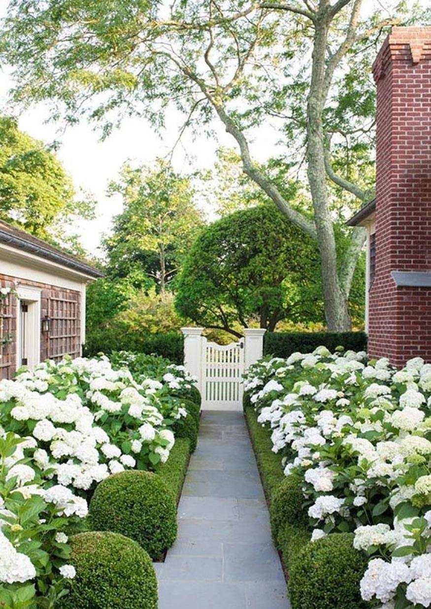 Best Cottage Style Garden Ideas