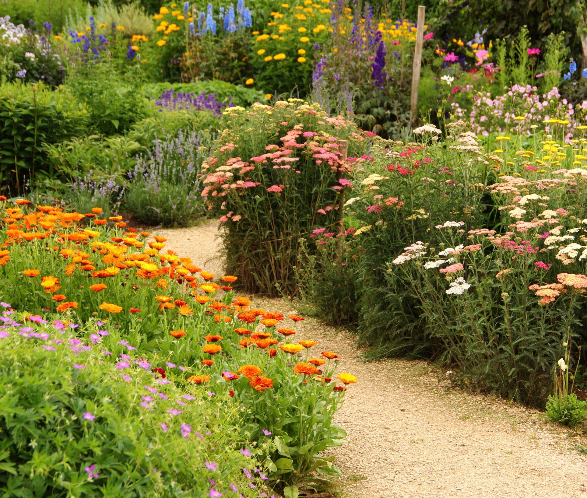 Flower Garden Tips