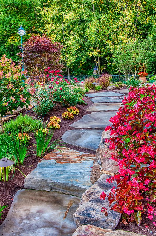Beautiful And Functional Flower Garden Paths