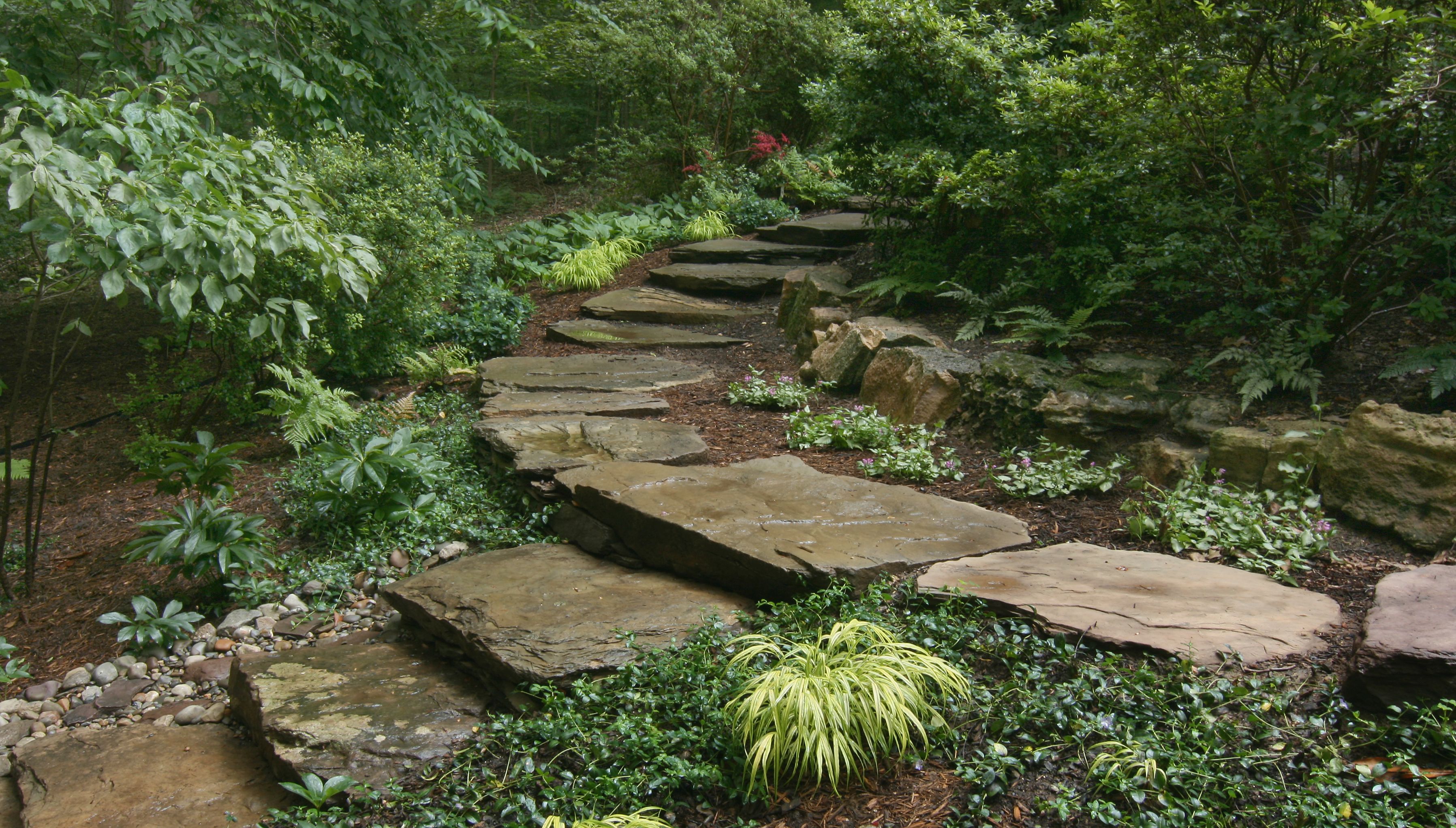 The Best Woodland Garden Ideas