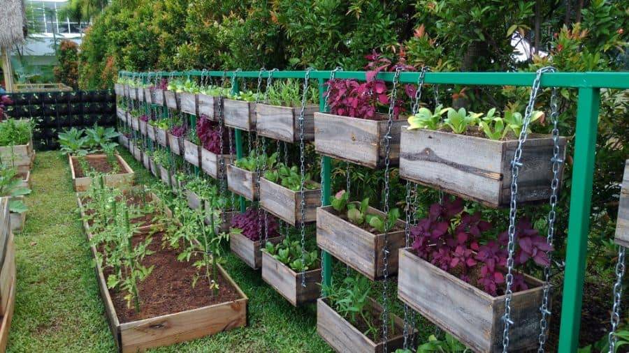 Most Creative Vegetable Garden Design Ideas