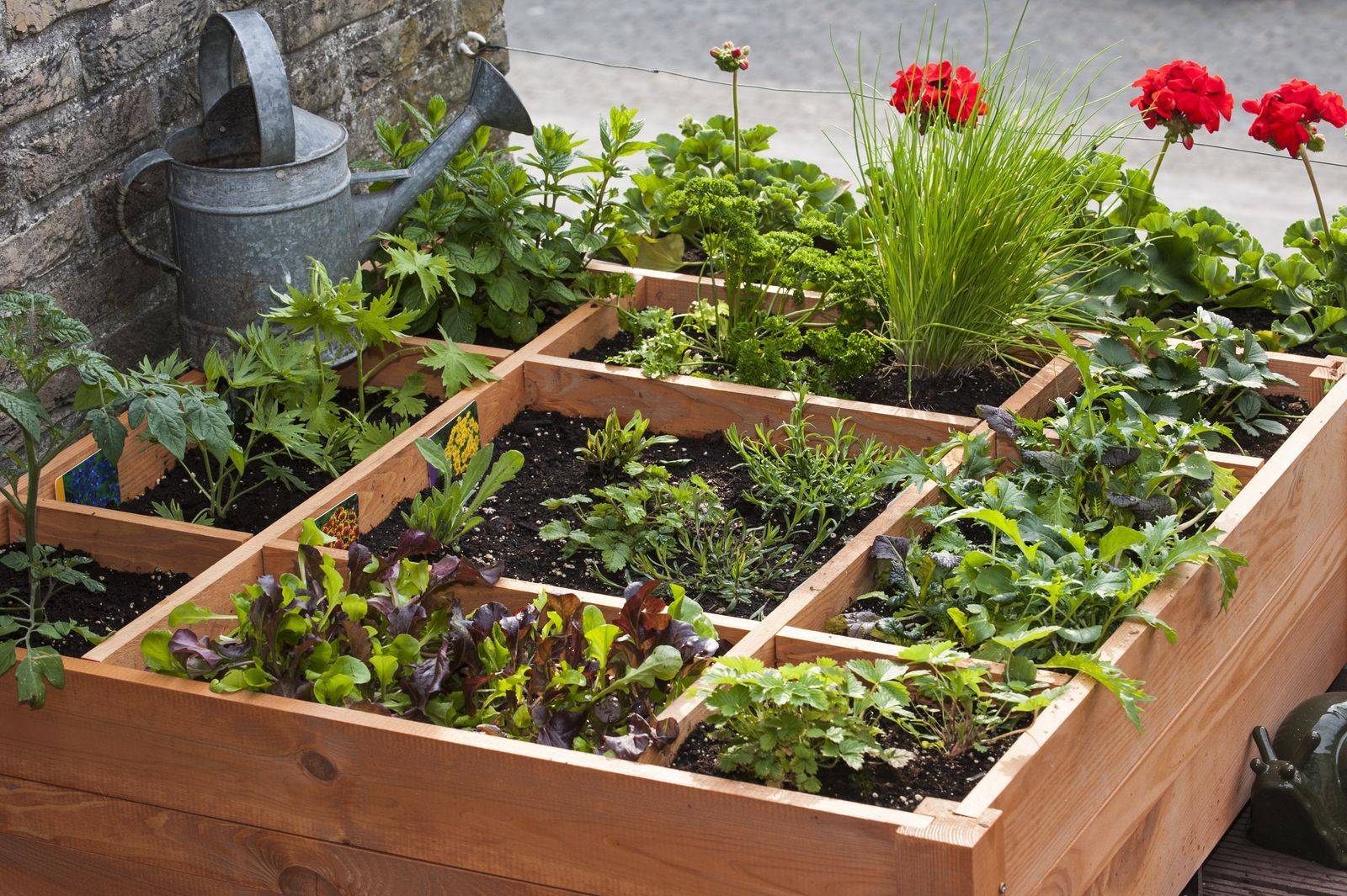 A Tiered Container Garden Southern Patio