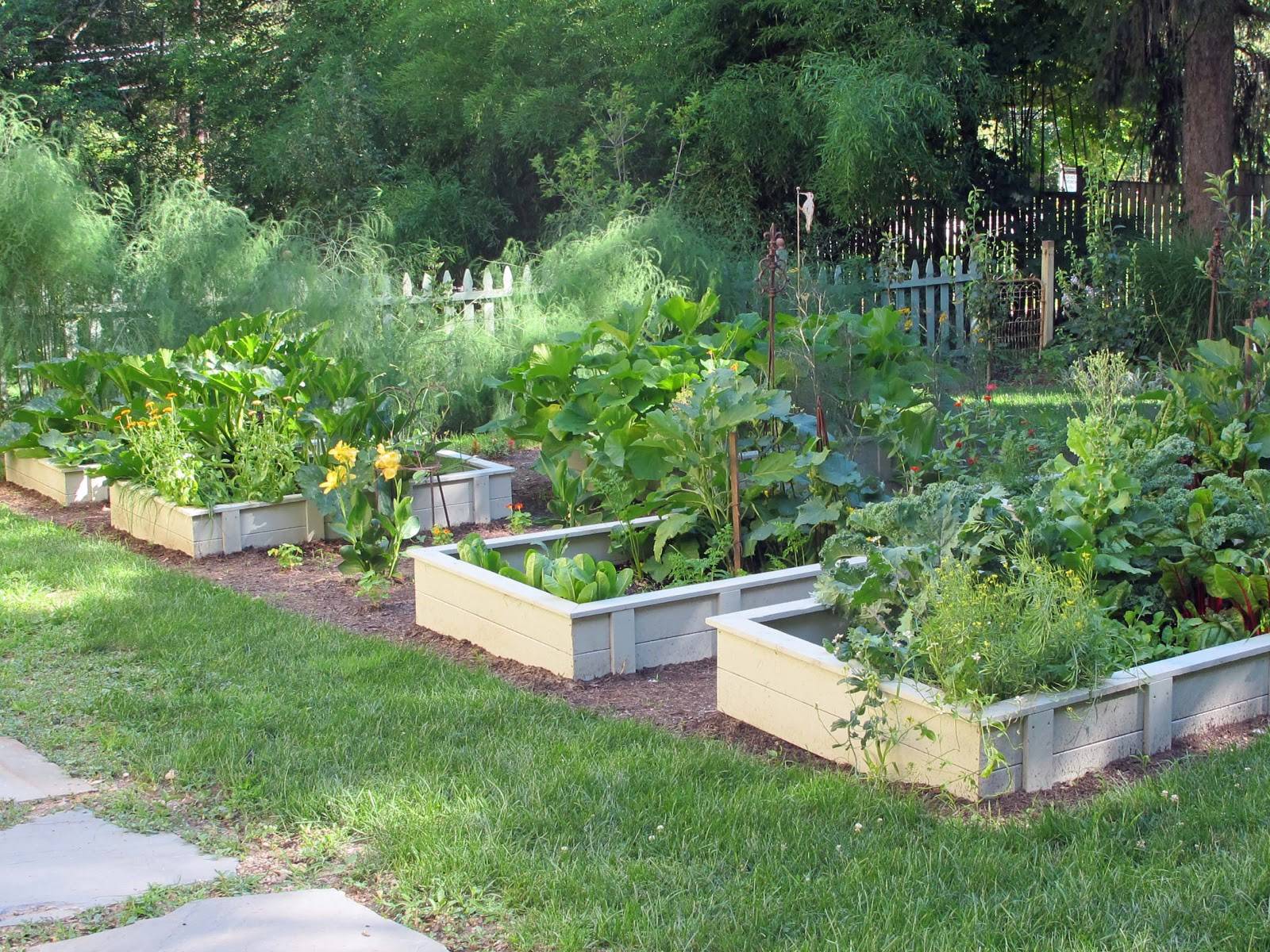 Beauty Potager Garden Design Ideas