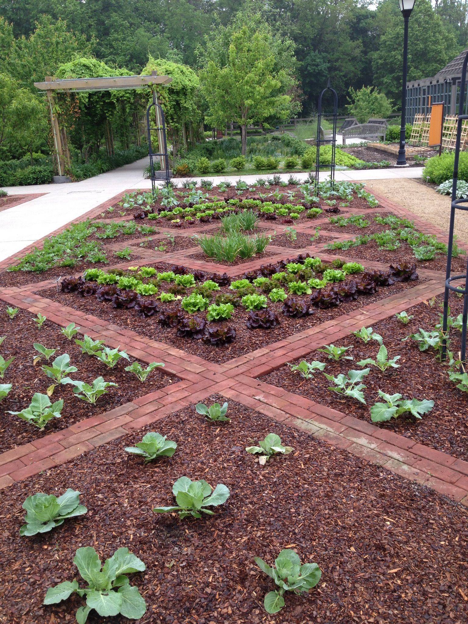 Cozy Small Vegetable Garden Ideas