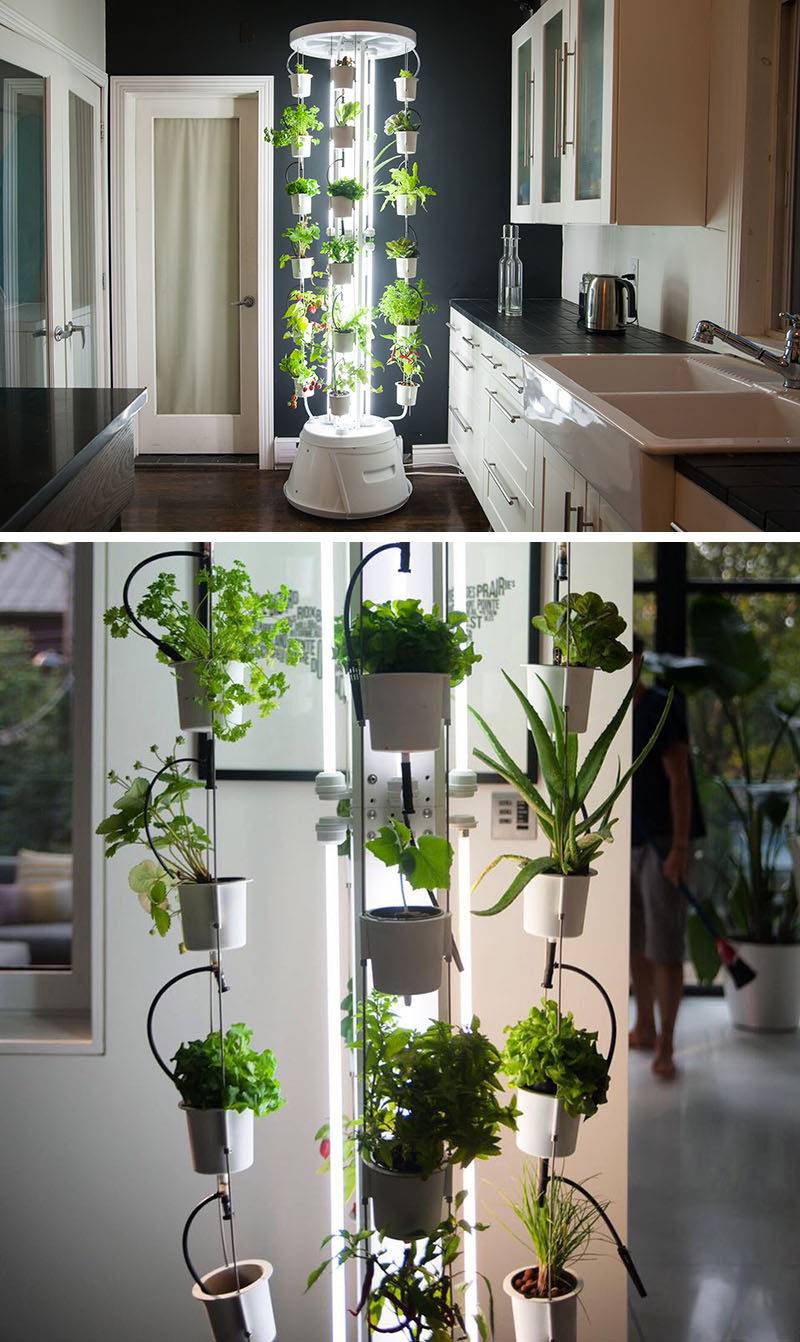 Indoor Vegetable Garden Ideas