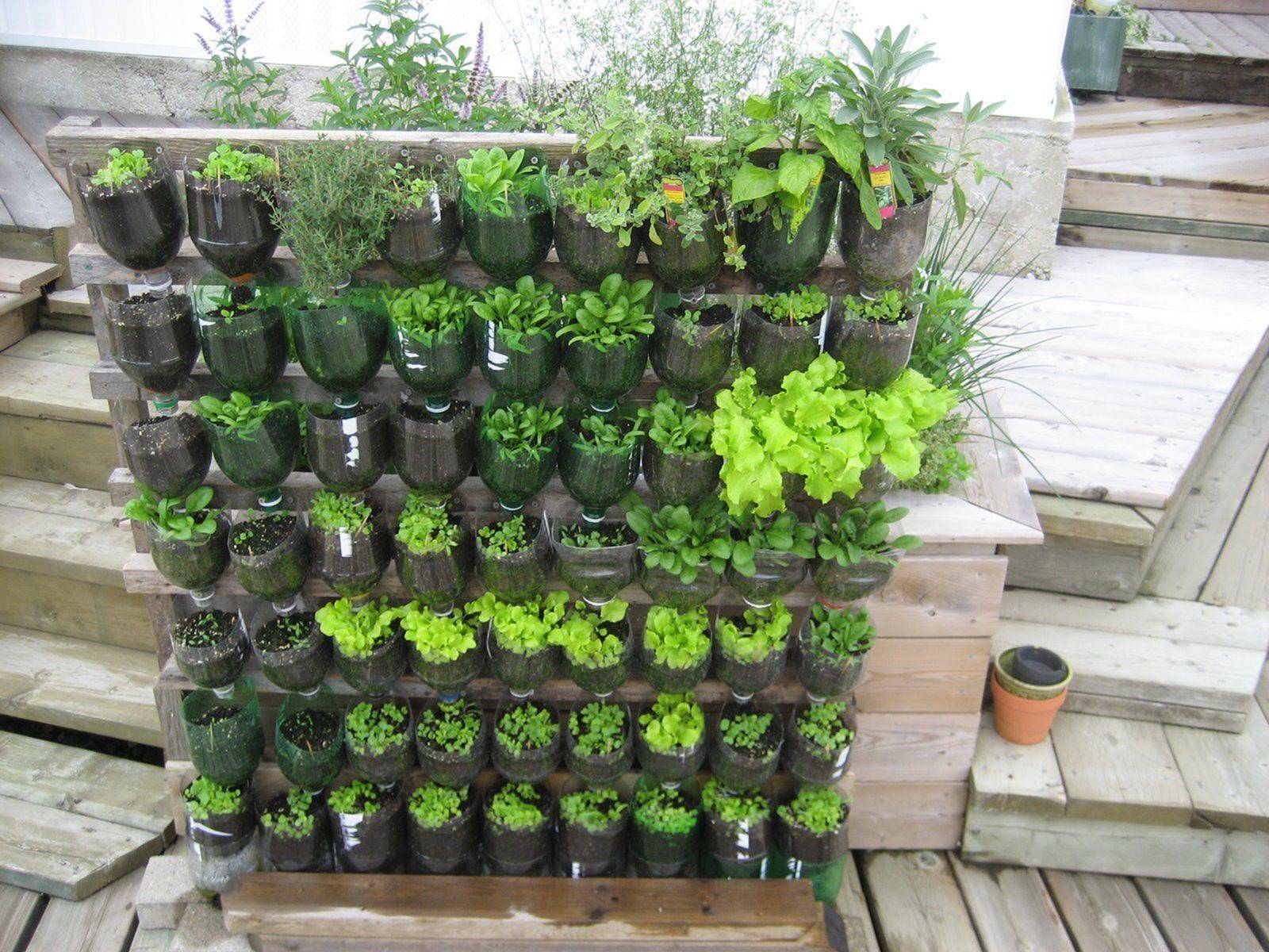 Lovely Vegetable Garden Decoration Ideas