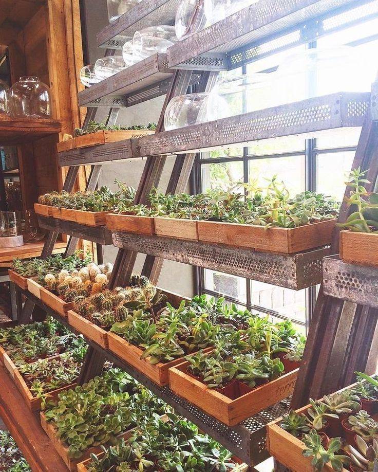 Vertical Garden Design Ideas